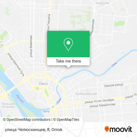 улица Челюскинцев, 8 map