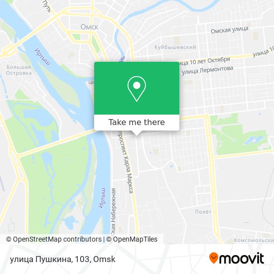улица Пушкина, 103 map