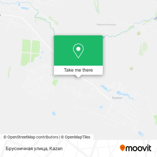 Брусничная улица map