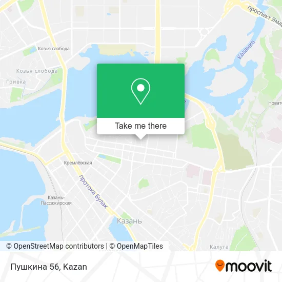 Пушкина 56 map
