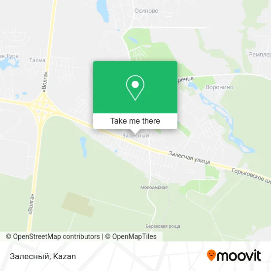 Залесный map