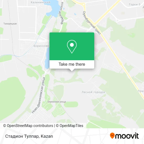 Стадион Тулпар map