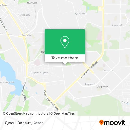 Дюсш Зилант map