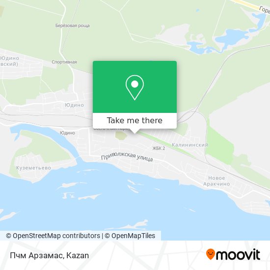 Пчм Арзамас map