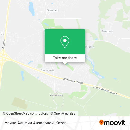 Улица Альфии Авзаловой map