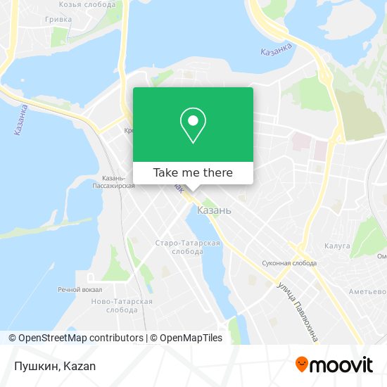 Пушкин map