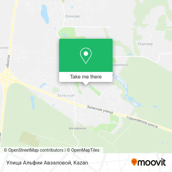 Улица Альфии Авзаловой map