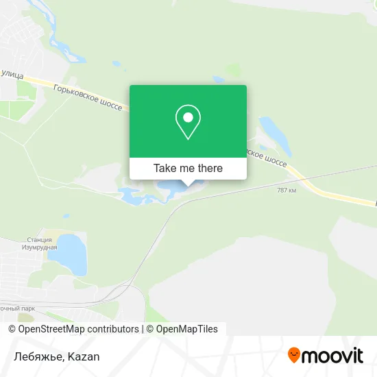 Лебяжье map