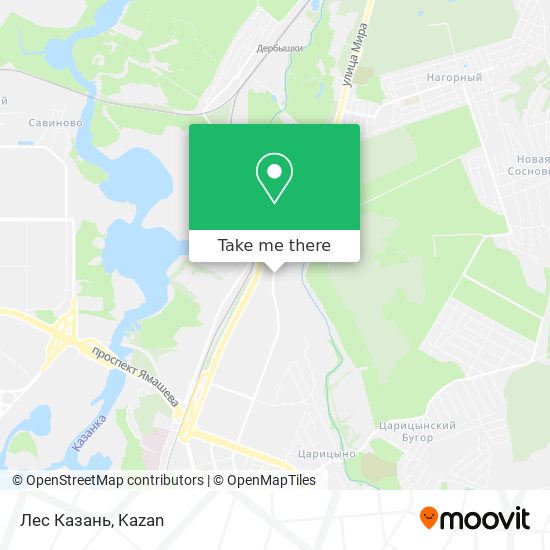 Лес Казань map