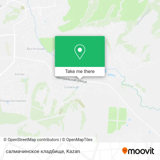 салмачинское кладбище map