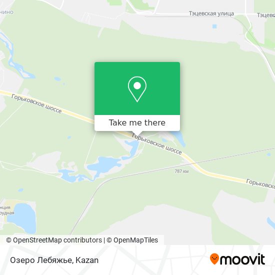 Озеро Лебяжье map