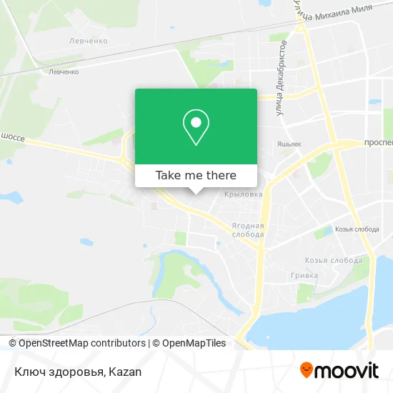 Ключ здоровья map