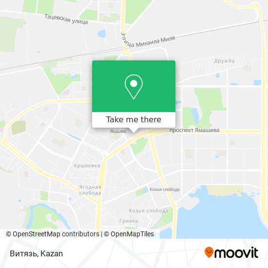 Витязь map