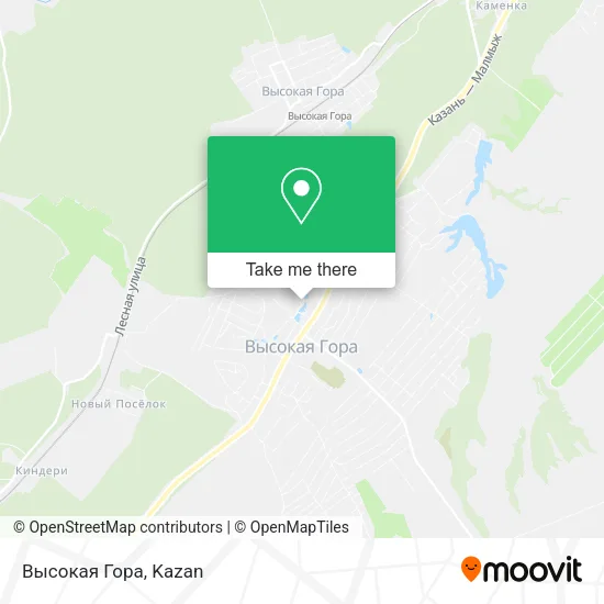 Высокая Гора map