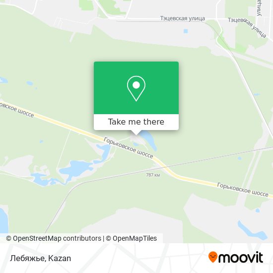 Лебяжье map
