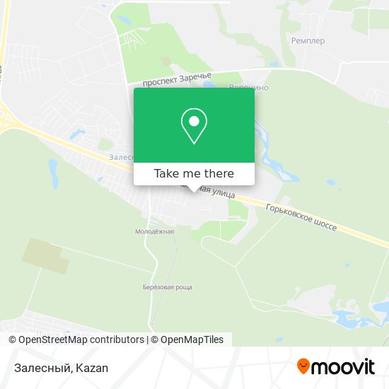 Залесный map