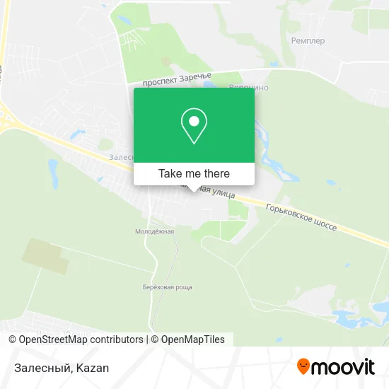Залесный map