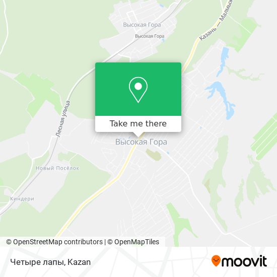 Четыре лапы map