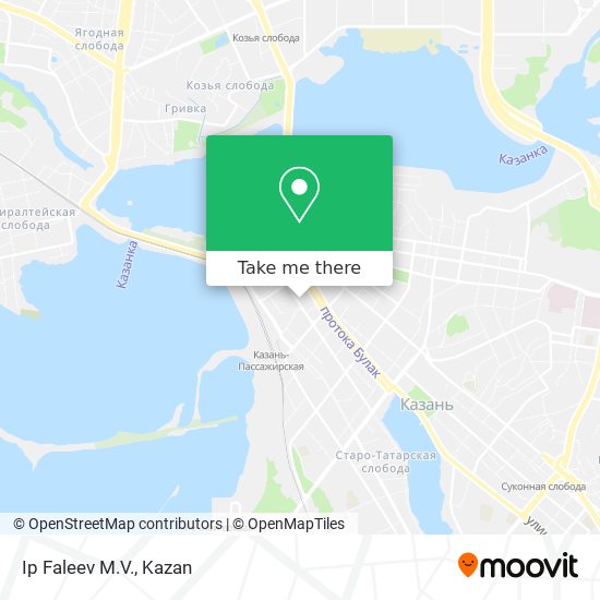 Ip Faleev M.V. map