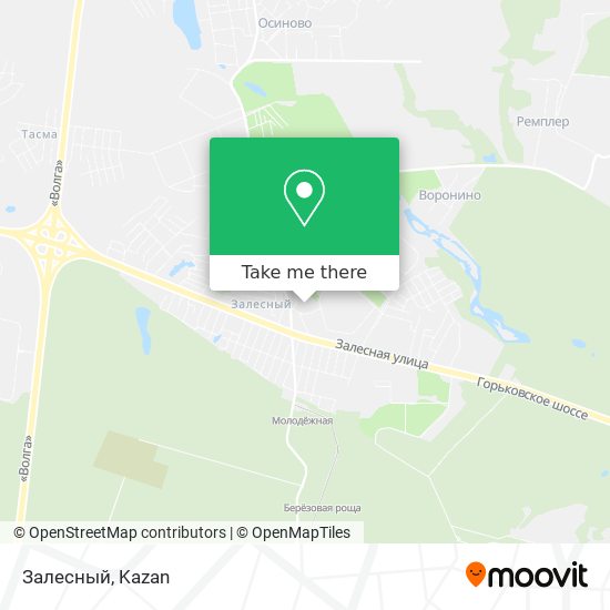 Залесный map