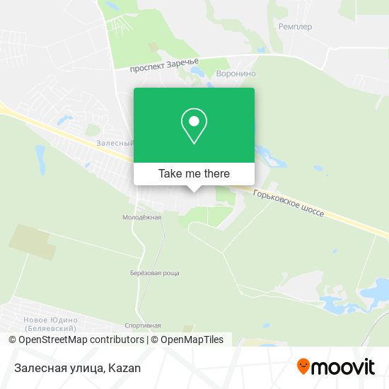 Залесная улица map