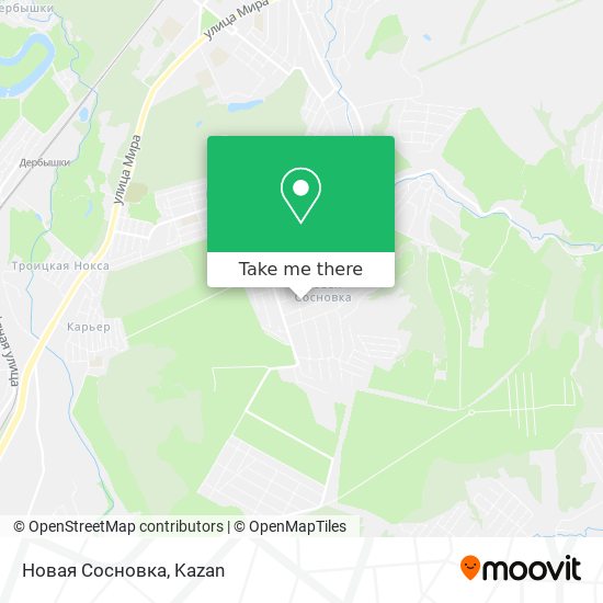 Новая Сосновка map