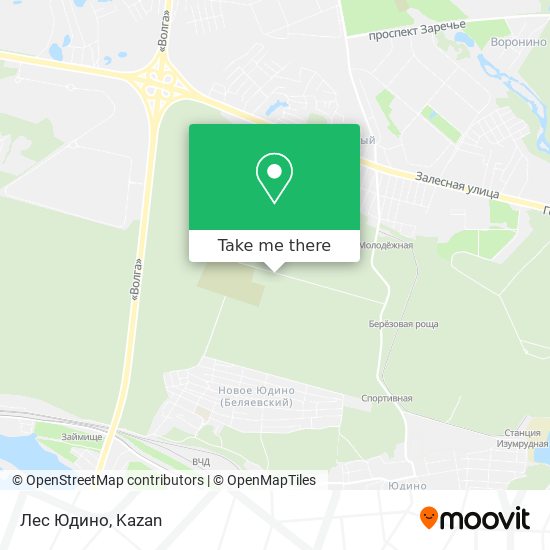 Лес Юдино map
