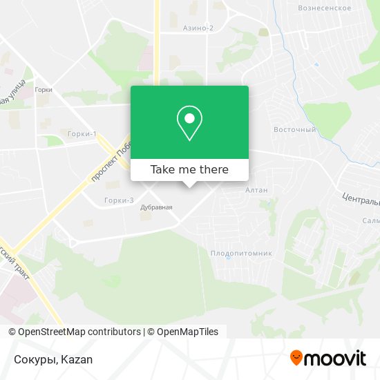 Сокуры map