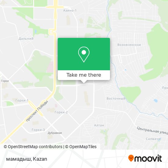 мамадыш map