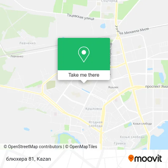 блюхера 81 map