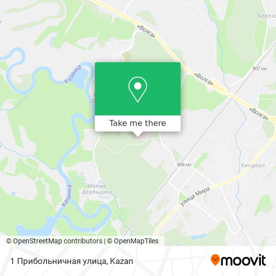 1 Прибольничная улица map