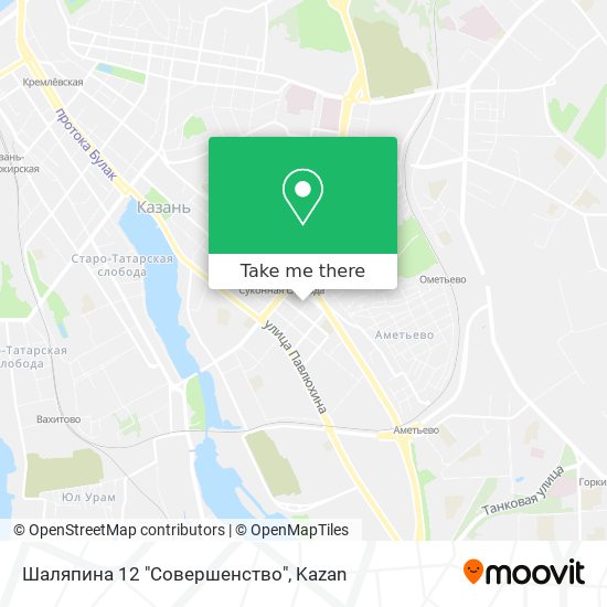 Шаляпина 12 "Совершенство" map
