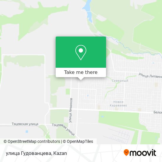 улица Гудованцева map