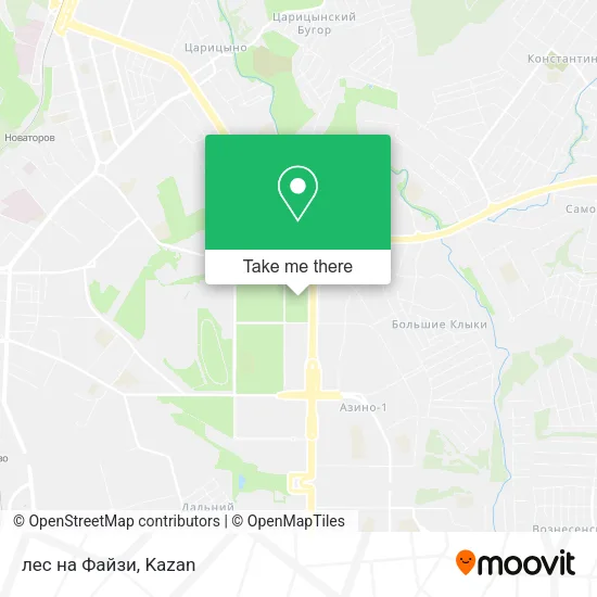 лес на Файзи map