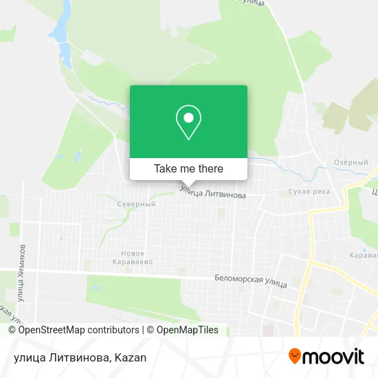 улица Литвинова map