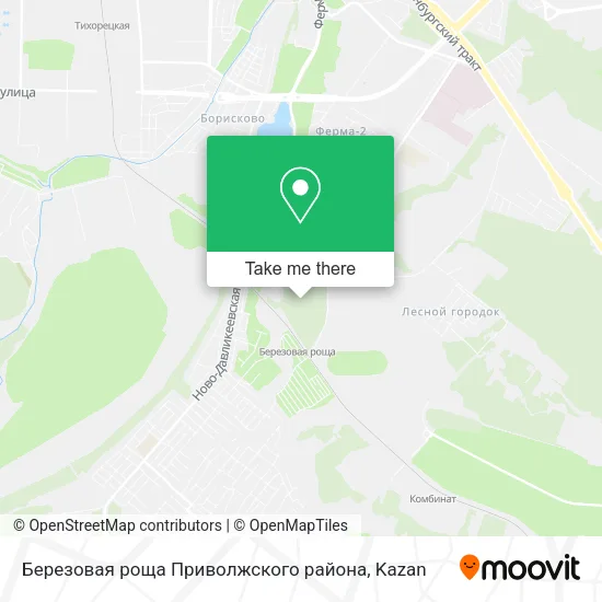 Березовая роща Приволжского района map