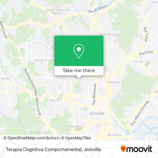 Terapia Cognitiva Comportamental map