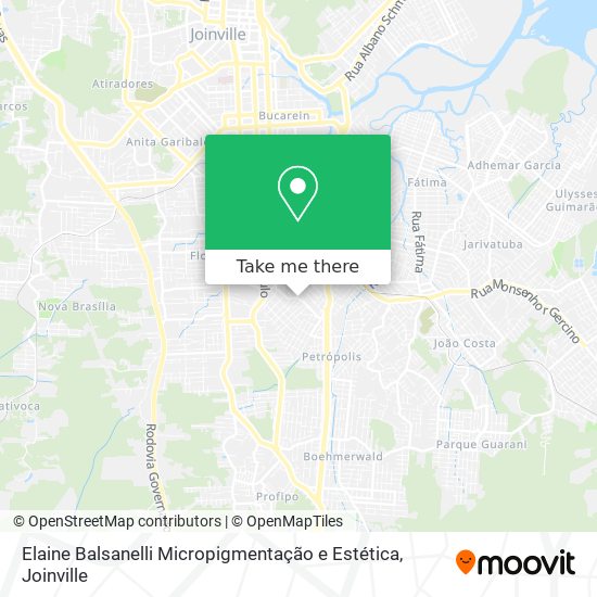 Elaine Balsanelli Micropigmentação e Estética map