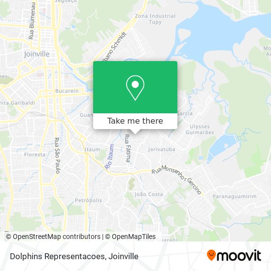 Dolphins Representacoes map