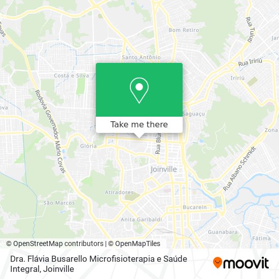 Dra. Flávia Busarello Microfisioterapia e Saúde Integral map