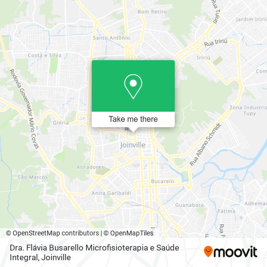 Dra. Flávia Busarello Microfisioterapia e Saúde Integral map