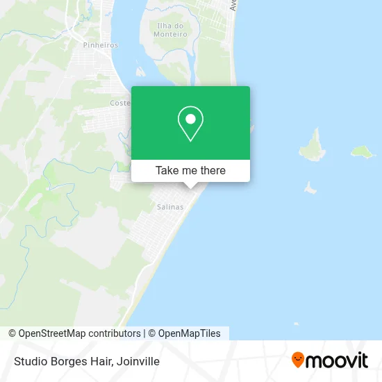 Studio Borges Hair map