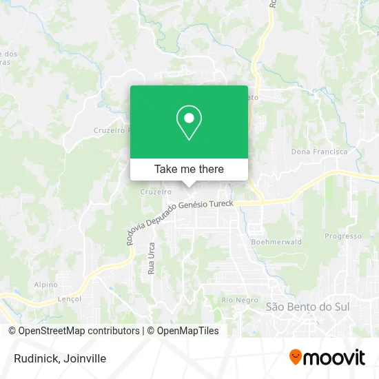 Rudinick map