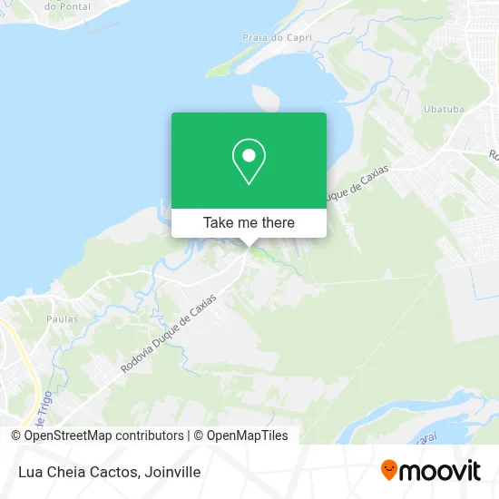 Lua Cheia Cactos map