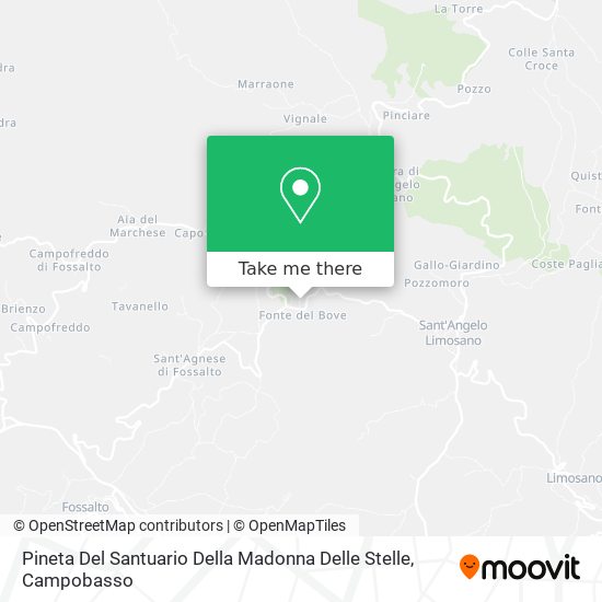 Pineta Del Santuario Della Madonna Delle Stelle map