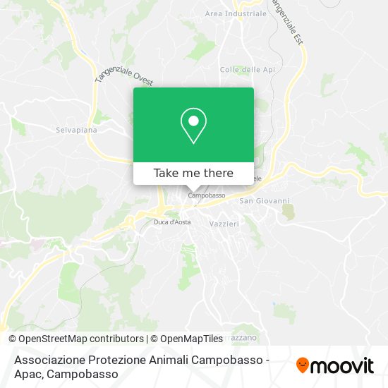 Associazione Protezione Animali Campobasso - Apac map