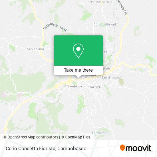 Cerio Concetta Fiorista map
