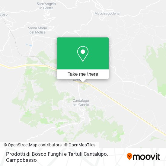 Prodotti di Bosco Funghi e Tartufi Cantalupo map