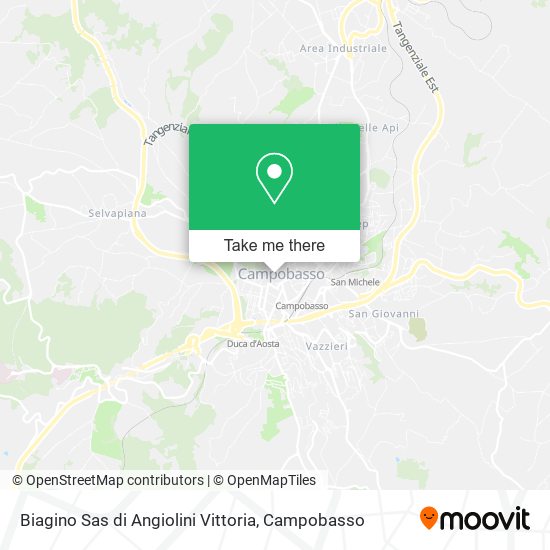 Biagino Sas di Angiolini Vittoria map
