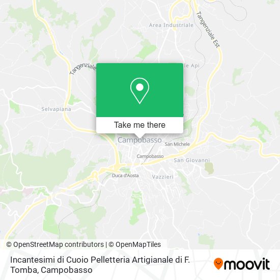 Incantesimi di Cuoio Pelletteria Artigianale di F. Tomba map